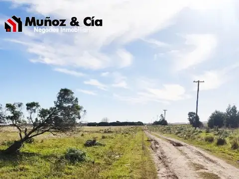 2 Hectáreas Agrícolas en zona Yraizoz , Miramar. A 400 m de ruta 88. Excelente acceso.