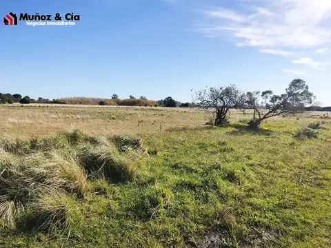 Campo en Venta de 2  ha