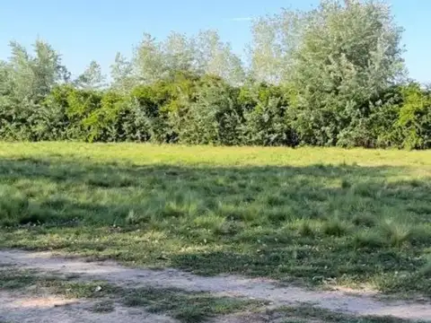 Terreno en Venta de 3100,0 m2