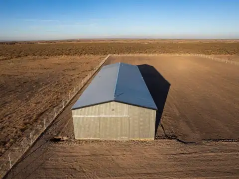 Alquilo Galpon 750 m2 - Predio 20000 m2 en Ruta del Petroleo