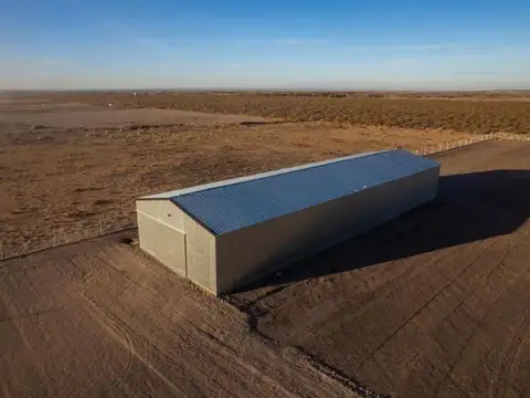 Galpon en Alquiler 200  mts Fondo