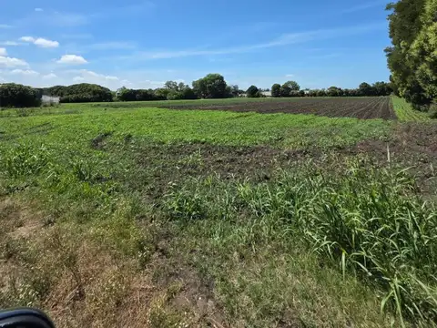 Venta de 4 Hectáreas Zona Tetamanti