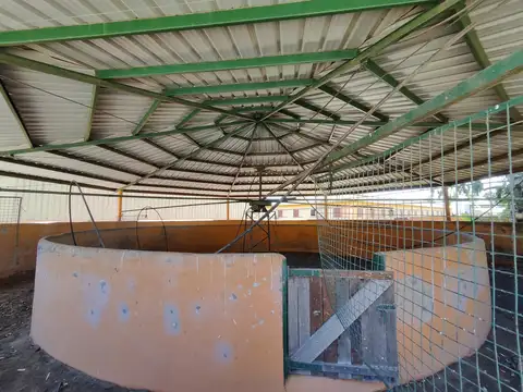 Venta Chacra, equitación y polo,107 ha, Las Heras, Buenos Aires