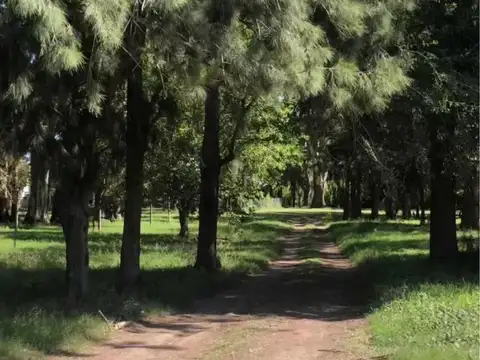 Ruta 11 y 611