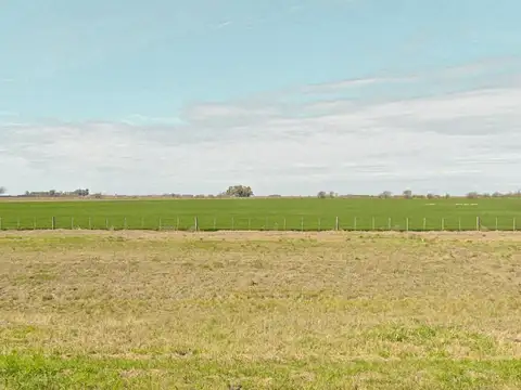 Campo en Sanford de 73 hectáreas frente a carretera