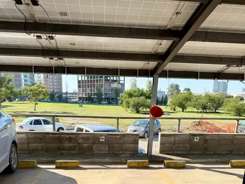 Sara Pinasco de Julierac 1700