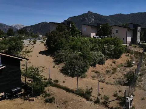 De los cerastios 622