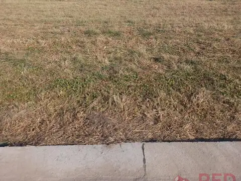 Terreno en Venta de 238,0 m2