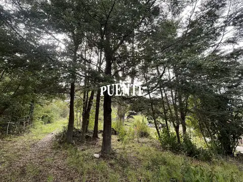 Ojo de dios, Manzano Villa la Angostura