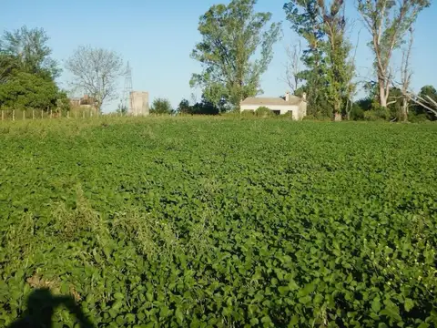 Campo agrícola sobre RN18