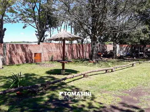Gaviota Y Teru Teru