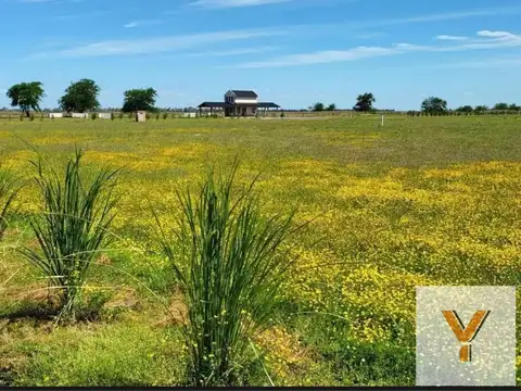 Pampa San Vicente