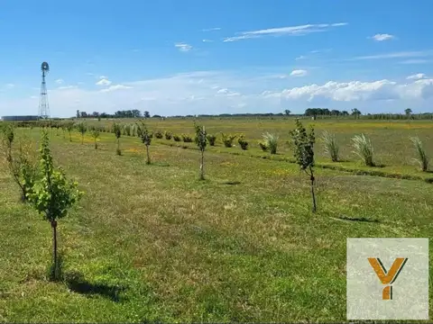 Terreno en Venta de 5000,0 m2