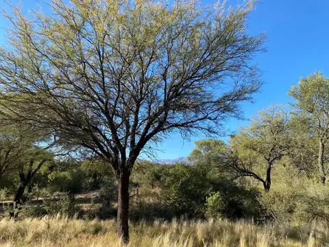 Terreno en Venta en La Paz, USD 12.000