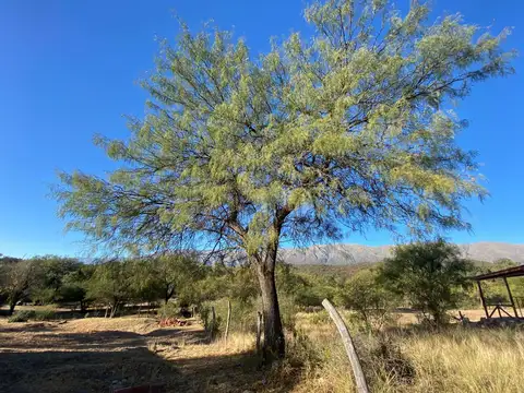 Terreno en Venta de 1500,0 m2