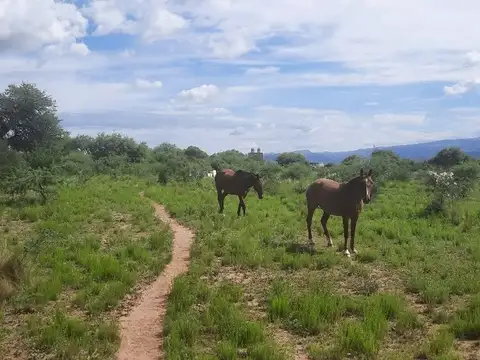 Terreno en Venta de 19586,0 m2