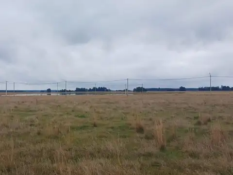Terreno en Venta de 1461,0 m2