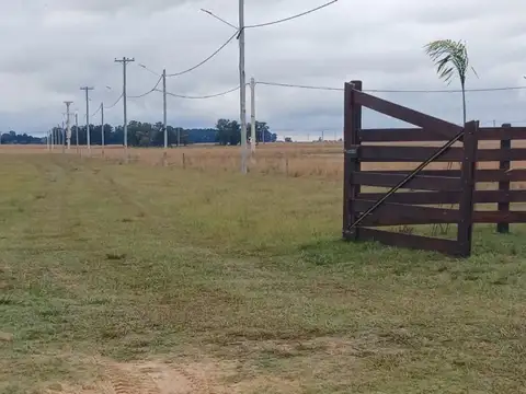 La Pukú 100