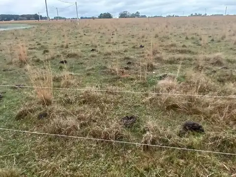 LOTES EN VENTA EN LOTEO ALTOS LAGUNA PUKU CAROLINA