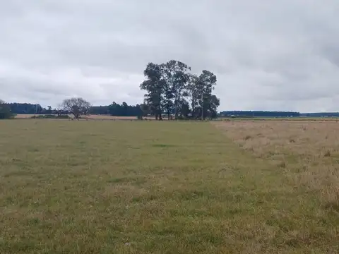 Terreno en Venta en Colonia Carolina, USD 7.000
