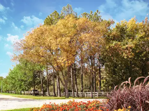 Terreno en Venta de 946,42 m2