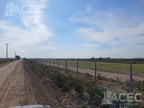Venta - Campo 58,50 ha - Ibarlucea