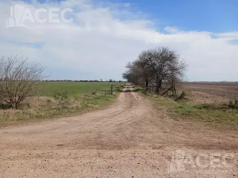 Ibarlucea - Fraccion de Campo