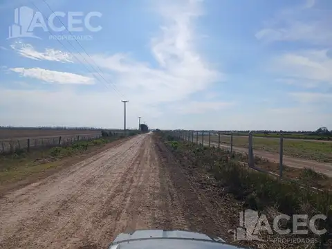 Ibarlucea - Fraccion de Campo