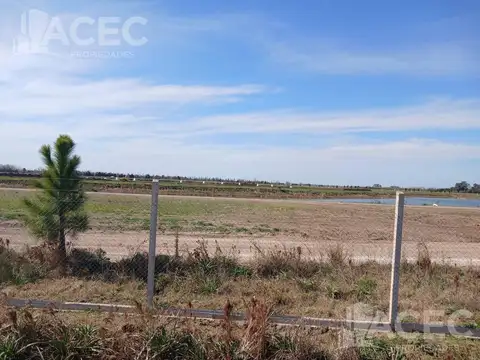 Venta - Campo 58,50 ha - Ibarlucea