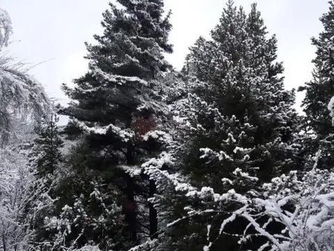 Ruta Nacional 40 - KM 1297