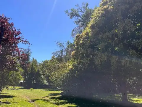 Campo en venta - 6 Dormitorios 3 Baños - 75000mt2 - Rio Negro