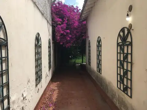 Local en Alquiler A Estrenar