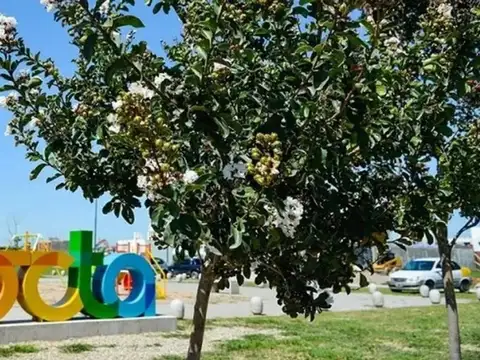 Terreno en Venta en Docta, USD 69.900