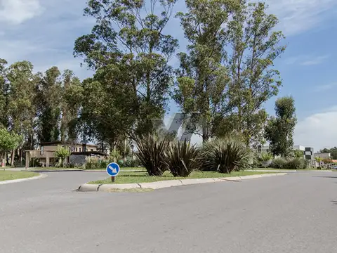 Avenida Jorge Newbery 4500