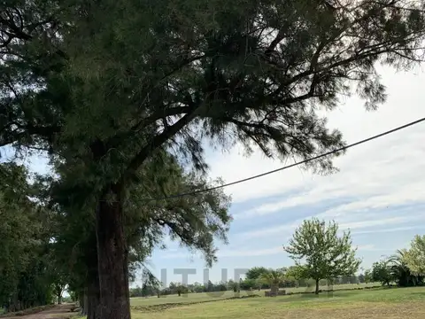 Av. Lorenzo Casey 2000, Piso 0