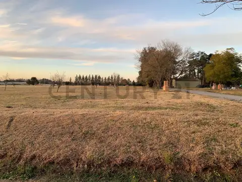 Av. Lorenzo Casey 2000, Piso 0