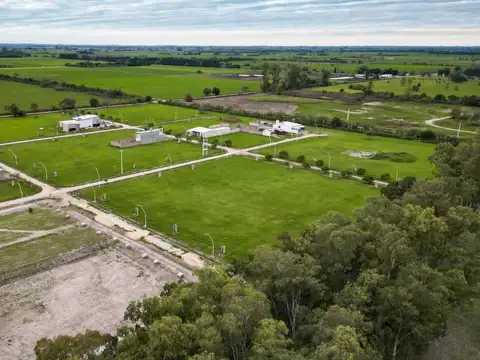 Denner entre Scheneider y 1 de Mayo