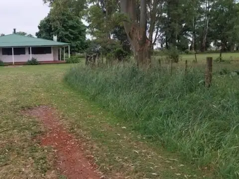 Campo Mixto de 88 Has en Zapiola con Casa, Pileta y Excelente Acceso
