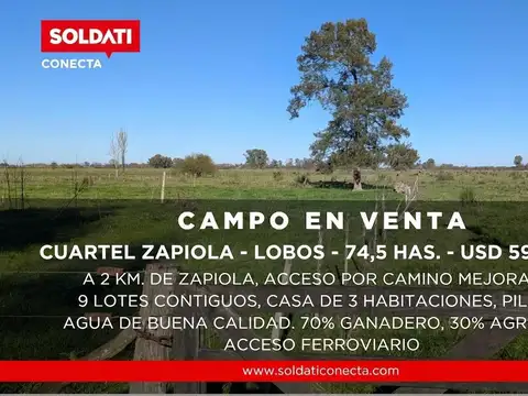 Campo Mixto de 74,5 Has en Zapiola con Casa, Pileta y Excelente Acceso - Venta