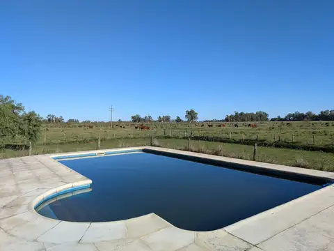 Campo Mixto de 74,5 Has en Zapiola con Casa, Pileta y Excelente Acceso - Venta