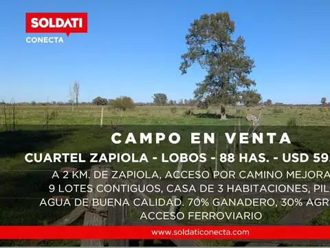 Campo Mixto de 88 Has en Zapiola con Casa, Pileta y Excelente Acceso - Venta