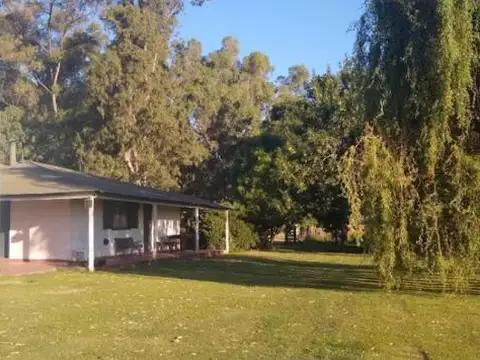 Campo Mixto de 88 Has en Zapiola con Casa, Pileta y Excelente Acceso