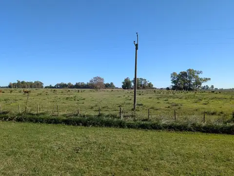 Campo Mixto de 74,5 Has en Zapiola con Casa, Pileta y Excelente Acceso - Venta