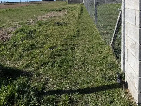 Viedma