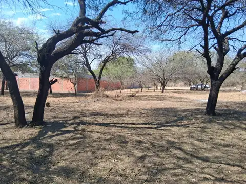 Calle Publica