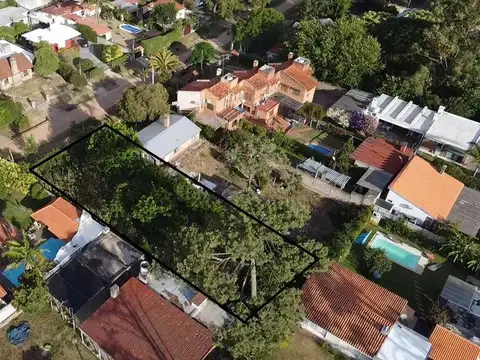 LAS CULEBRAS ENTRE PESCADORES Y LAS GAVIOTAS