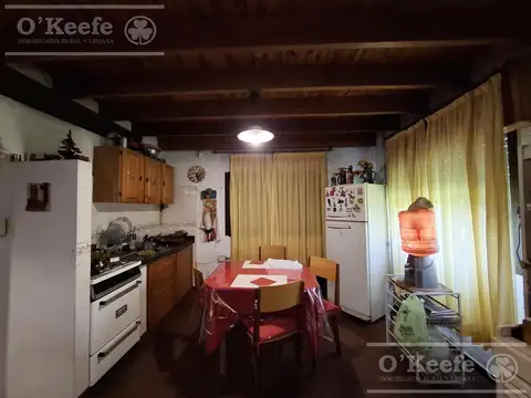 Quinta en Venta en Arturo Segui, USD 300.000