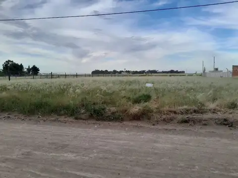 Terreno en Venta en Bahia Blanca, USD 32.000