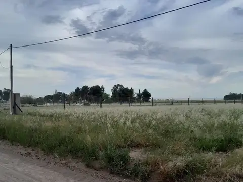 Calle Norberto Clegg 4600