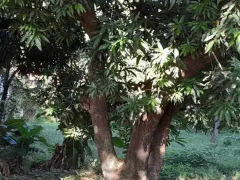 Lote - Venta - Paraguay, Asuncion